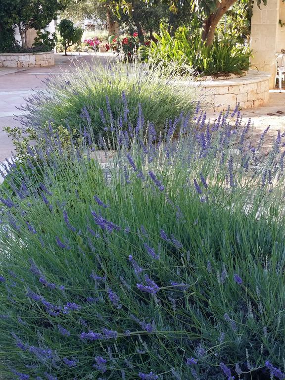 Il Melograno Bed & Breakfast Ceglie Messapica Luaran gambar